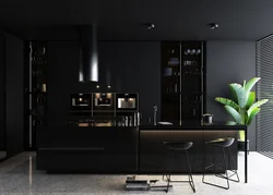 Kitchen Living Room Interior In Black Tones