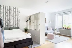 Bedroom design in a one-room apartment
