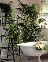Цветы в интерьере ванной комнаты фото