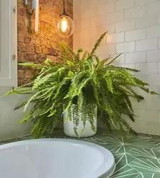 Цветы в интерьере ванной комнаты фото