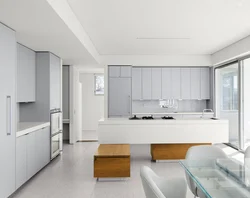 Gray Kitchen Minimalism Design