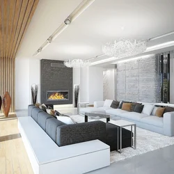 Living room design in the house views