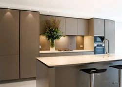 Kitchen Design In Contemporary Style