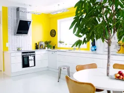 Kitchen interior with yellow walls photo