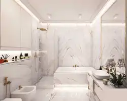 Ready-Made Bathtub And Toilet Design