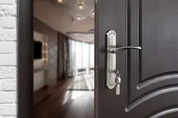 Стальные двери в квартиру фото