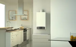 Газовый котел на кухне в интерьере настенный
