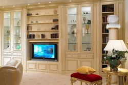 Living Room Design With Bookcase Photo
