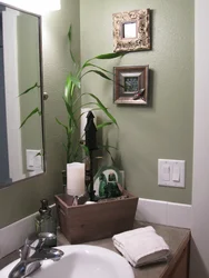 Olive bathroom photo