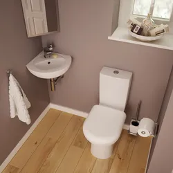 Toilet In The Bathroom In The Corner Photo