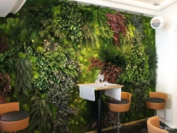 Moss Panel In The Kitchen Interior