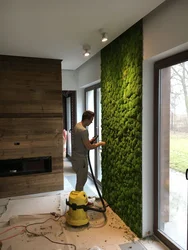 Moss panel in the kitchen interior