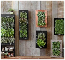 Moss panel in the kitchen interior