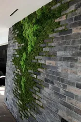 Stabilized moss in the living room interior