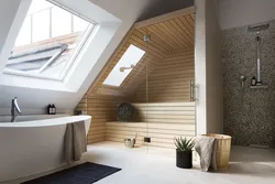 Bathroom Design In The Attic With A Sloping Ceiling