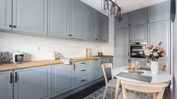 Gray panel kitchen design