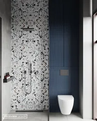 Interior With Terrazzo Bath