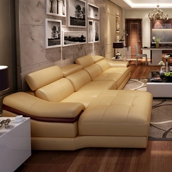 Living room design with leather sofa