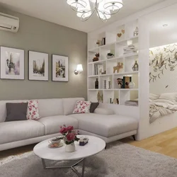 Design Of A One-Room Apartment Divided Into Two Rooms