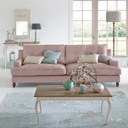 Dusty rose sofa in the living room interior