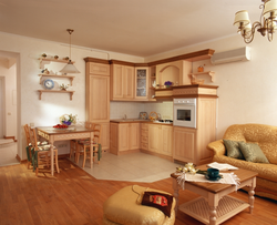 Living room kitchen in country style design