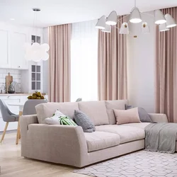 Gray beige interior kitchen living room