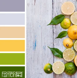 Kitchen design color selection