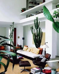 Растения в гостиной фото