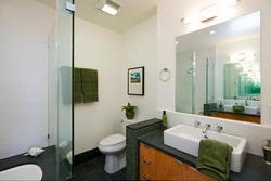 Перегородка в ванной комнате для унитаза фото в интерьере