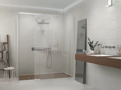Porcelain tile shower bathroom design