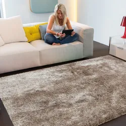 How To Choose A Carpet For The Floor To Match The Interior Of The Living Room
