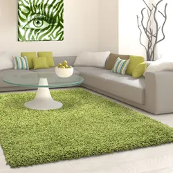 How To Choose A Carpet For The Floor To Match The Interior Of The Living Room