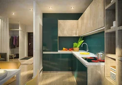 Modern Kitchen Photos In A One-Room Apartment