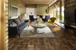 Laminate Modern Style In The Living Room Photo