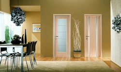 How to choose doors for an apartment photo