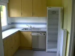 Small kitchen design with window and refrigerator photo