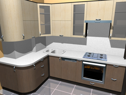 Kitchen design 3 d project