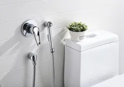 Интерьер ванной с гигиеническим душем фото