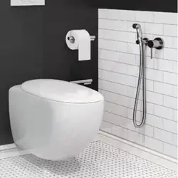 Bathroom interior with hygienic shower photo