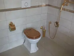 Bathroom Interior With Hygienic Shower Photo