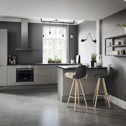 Gray kitchen in the interior color combination with walls
