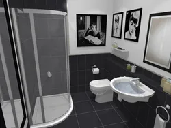 Бело черные ванные комнаты с душевой фото