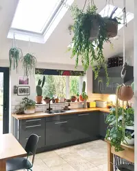Indoor flowers in the kitchen design