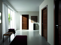 Dark brown doors in the apartment interior