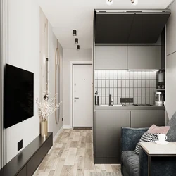 Studio 30 Sq.M Design With Kitchen And Balcony M