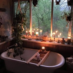 Photos of a house in a bathtub