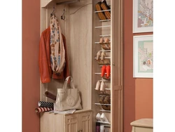 Wardrobe In The Hallway With A Shoe Rack In A Modern Style Photo