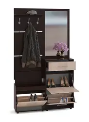 Wardrobe In The Hallway With A Shoe Rack In A Modern Style Photo