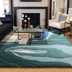 Modern carpets for the floor in the living room in the interior