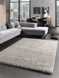 Modern Carpets For The Floor In The Living Room In The Interior